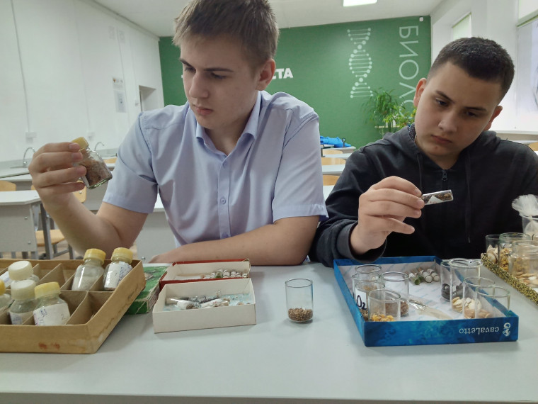 Подготовка к конкурсам.